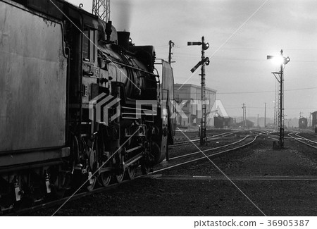 在黃昏的蒸汽機車 36905387