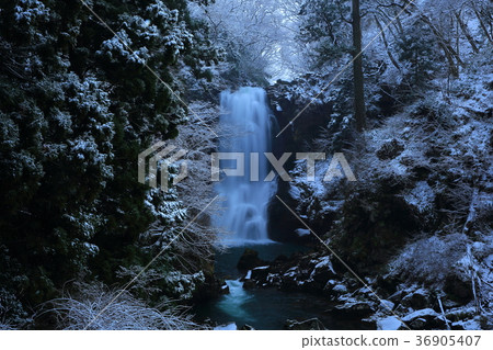 White Falls in Naso in Winter 36905407