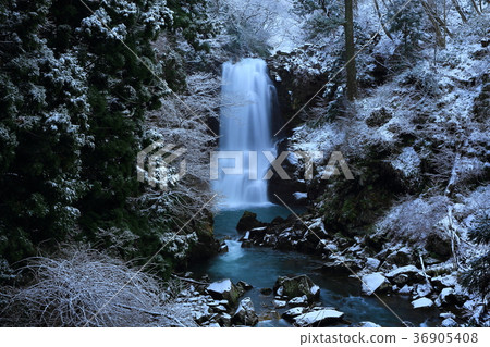 White Falls in Naso in Winter 36905408