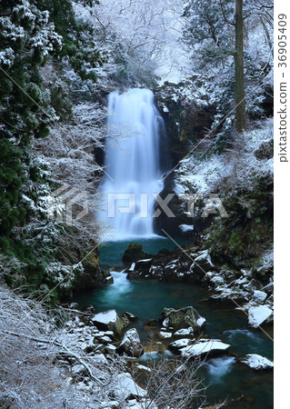 White Falls in Naso in Winter White Falls in Naso in Winter 36905409
