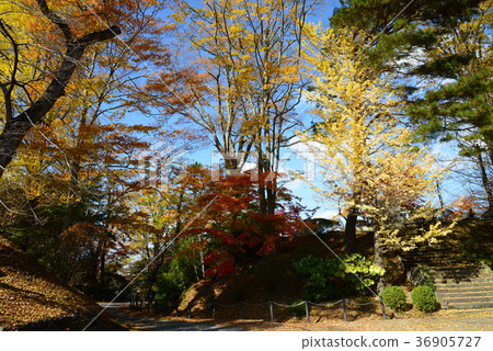 我去了Tanakura Castle Fort＃40 36905727