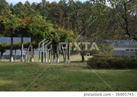 Yatsugatake 2016秋季第1部分 Yatsugatake 2016秋季第1部分 36905745