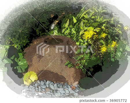 Japanese garden Japanese garden 36905772