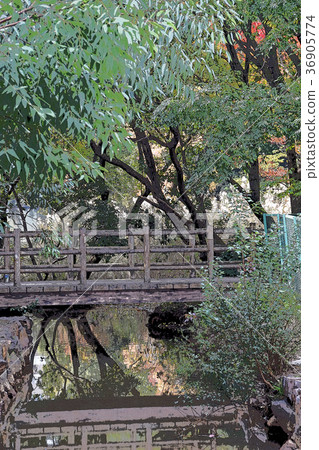 Wooden bridge in the pond Wooden bridge in the pond 36905774