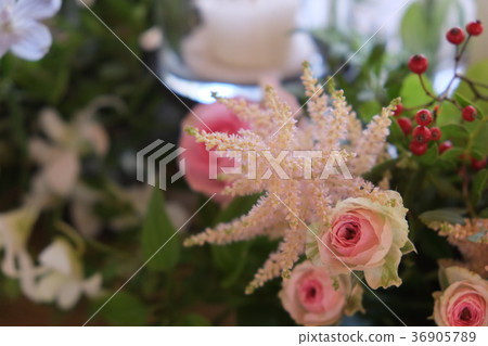 花卉對象 花卉對象 36905789