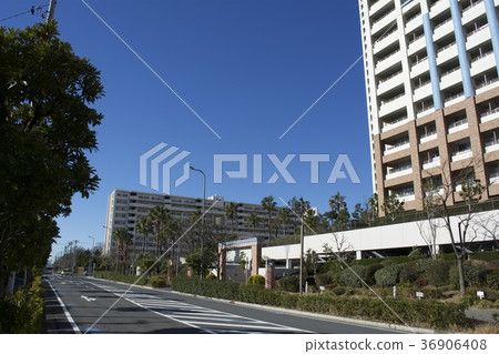 浦安市12月 36906408
