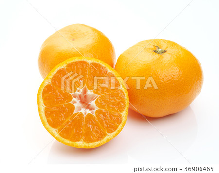 蒲郡橘子（來自愛知縣） 36906465