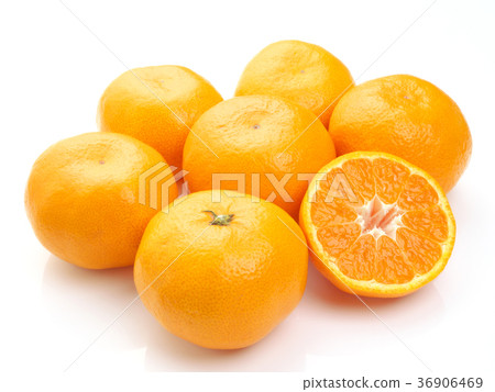Gamagori orange (from Aichi prefecture) 36906469