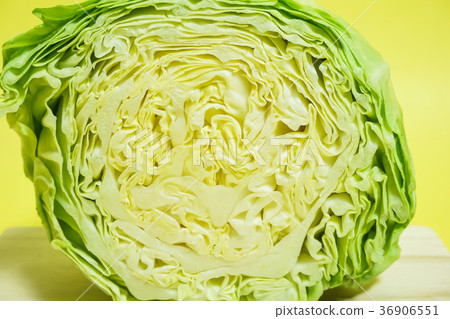 圓形的白菜黃色背景 36906551