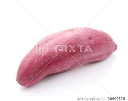 來自德島縣的Kintoki（紅薯） 36906856