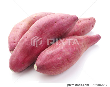When it comes to Kintoki (sweet potato) from Tokushima prefecture When it comes to Kintoki (sweet potato) from Tokushima prefecture 36906857