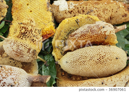golden honeycomb in the honey in market. golden honeycomb in the honey in market. 36907061