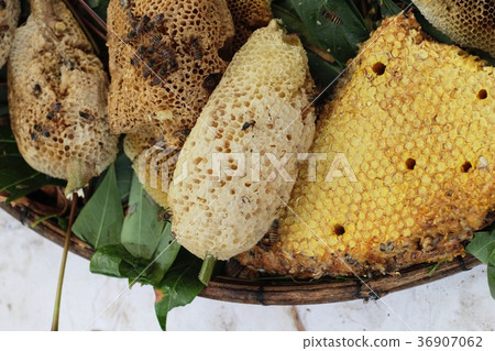 golden honeycomb in the honey in market golden honeycomb in the honey in market 36907062