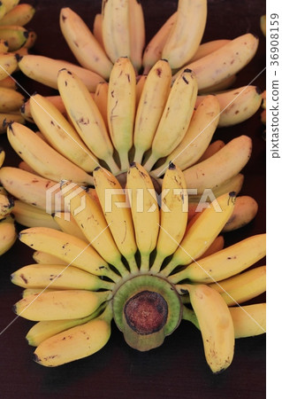 Ripe banana is delicious in the market. Ripe banana is delicious in the market. 36908159
