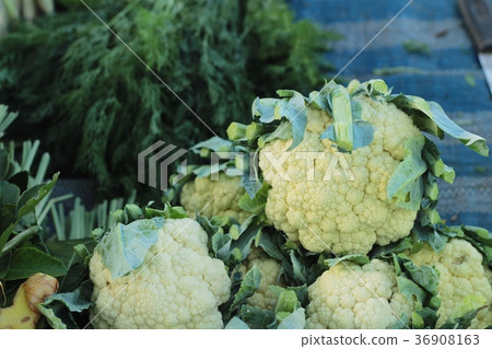 fresh cauliflower in the market . fresh cauliflower in the market . 36908163