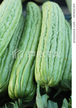 Bitter Gourd green in the market. Bitter Gourd green in the market. 36908164