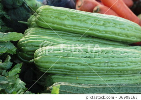 Bitter Gourd green in the market. 36908165