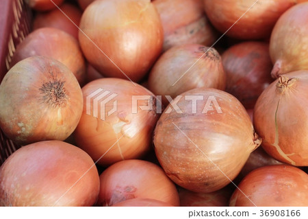 Fresh onion in the market. Fresh onion in the market. 36908166