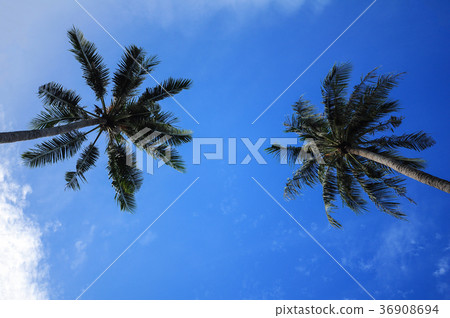 Seascape view of Samui island , Thailand 36908694