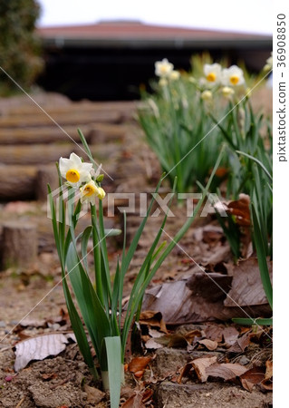 Karei mountain park part 2 Karei mountain park part 2 36908850