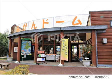 西海路站（長崎縣） 36908869