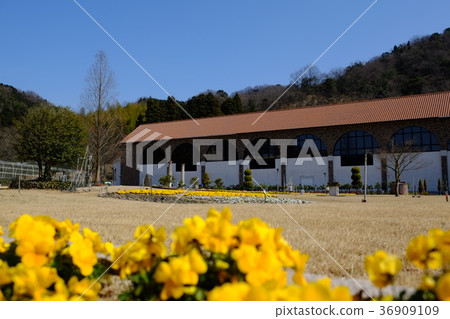 毛巾博物館10 毛巾博物館10 36909109