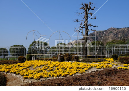 毛巾博物館11 毛巾博物館11 36909110