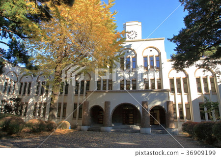 東京農業科技大學府中校區 東京農業科技大學府中校區 36909199