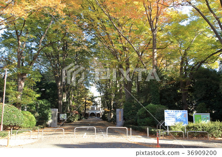 東京農業大學府中校區府中市 東京農業大學府中校區府中市 36909200