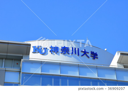 神奈川大學 36909207