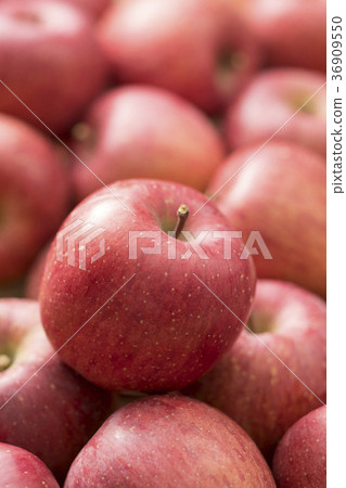 Apple  Apple  36909550