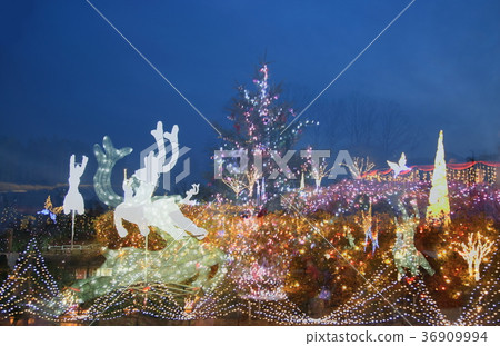 Park illumination Multiple exposure Park illumination Multiple exposure 36909994