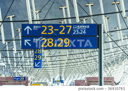 上海浦東國際機場內部天花板風景 上海浦東國際機場內部天花板風景 36910763