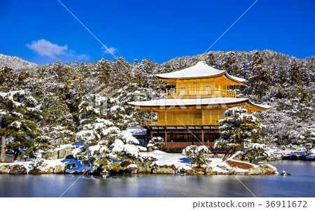 Snow Kinkaku 36911672