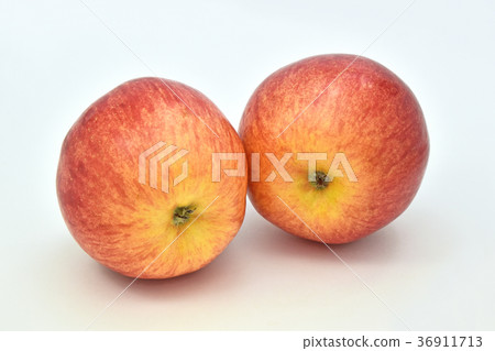 Apple (life not born) 36911713