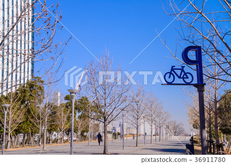 在遭遇橋附近的台場木板路 36911780