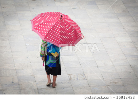 hmong girl with big red umbrella in Sa Pa hmong girl with big red umbrella in Sa Pa 36912458