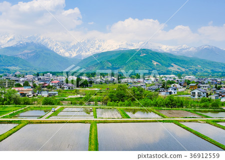 春季鄉村景觀（五月） 36912559