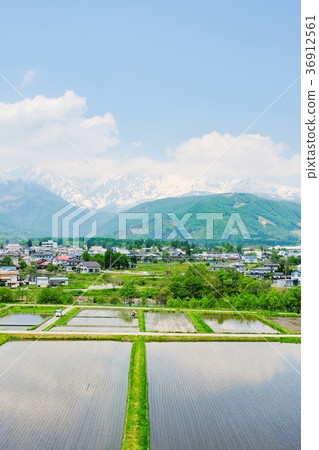 春季鄉村景觀(五月) 春季鄉村景觀(五月) 36912561