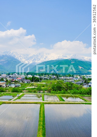 春季鄉村景觀(五月) 春季鄉村景觀(五月) 36912562