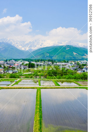 春季鄉村景觀(五月) 春季鄉村景觀(五月) 36912566