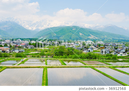 春季鄉村景觀(五月) 春季鄉村景觀(五月) 36912568