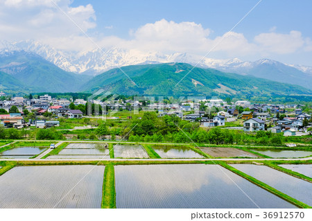 春季鄉村景觀(五月) 春季鄉村景觀(五月) 36912570