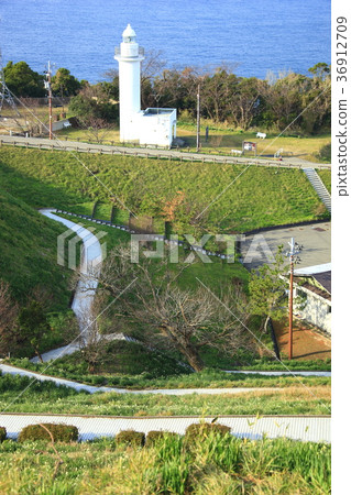 Echizen Narcissus Echizen Narcissus 36912709