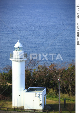 Echizen Narcissus 36912710