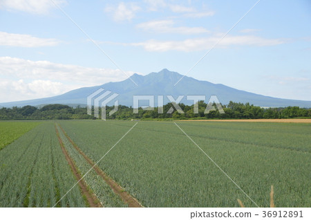 Shari-dake鄉村(北海道斜裡郡斜裡町) Shari-dake鄉村(北海道斜裡郡斜裡町) 36912891
