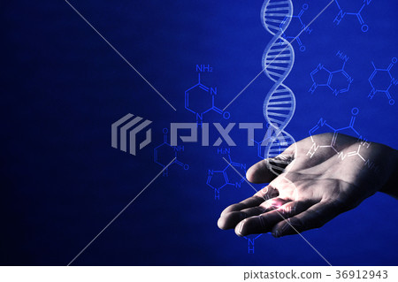 基因 DNA 研究 36912943