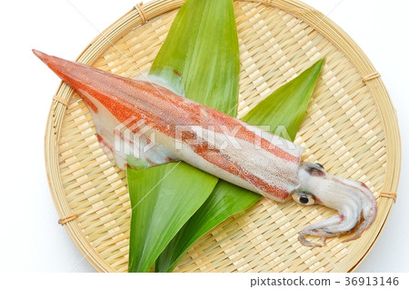它是國產魷魚(新鮮)。 它是國產魷魚(新鮮)。 36913146