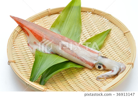 它是國產魷魚（新鮮）。 36913147