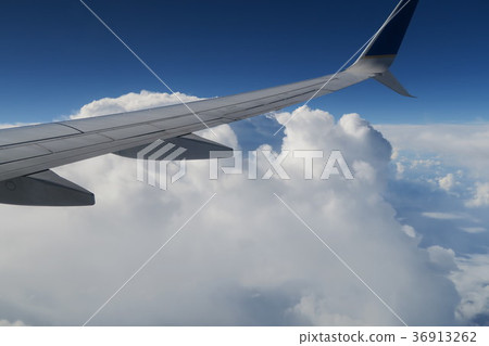 翼在天空中飛翔 翼在天空中飛翔 36913262
